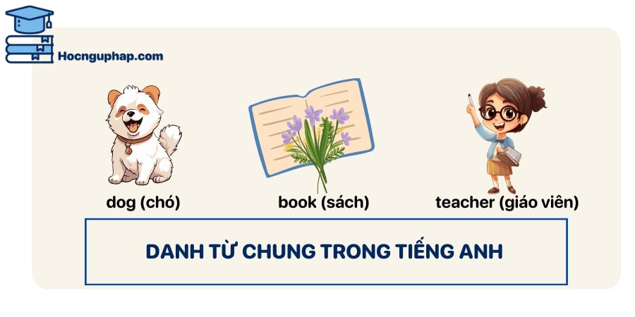 Danh từ chung trong tiếng Anh 