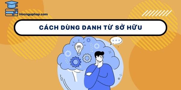 Cách sử dụng danh từ sở hữu trong câu